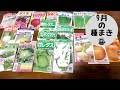 9月の種蒔き予定紹介【ダイコン】【カブ】【ゴボウ】【レタス】【ホウレンソウ】【コマツナ】【野沢菜】【玉ねぎ】【豆苗】【家庭菜園】