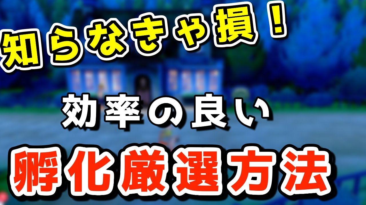 初心者必見 孵化厳選が少しでも効率良くなる５つの方法をご紹介 ポケモン剣盾 Youtube