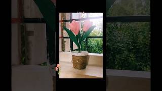 Tulips 🌷 #diy #diyhomedecor #art #flowers #subscribe #tutorial #like #craft #tulips