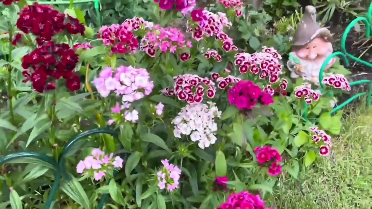 10 марта 2026 г.