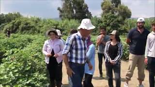 Pamukta Melezleme Islahi Prof. Dr. Hüseyi̇n Başal