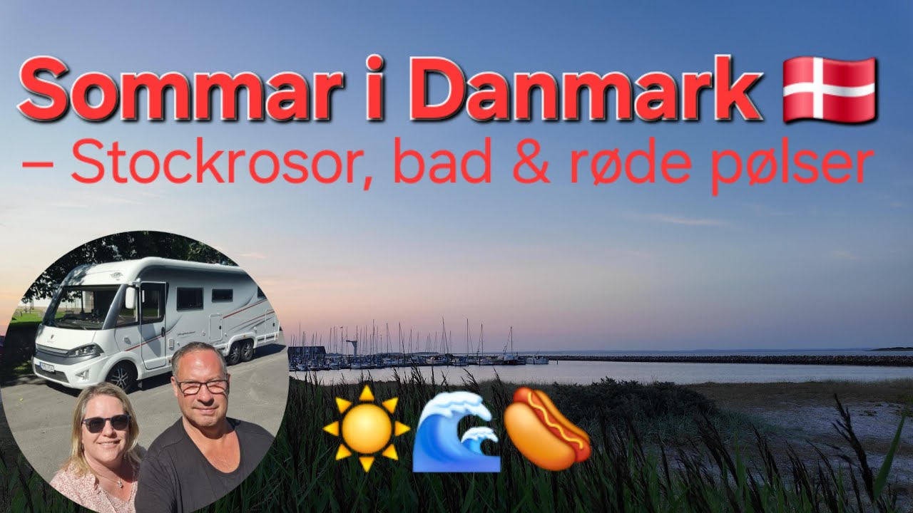 Husbilsäventyr i Danmark 🇩🇰 – Del 2: Røde pølser, Limfjorden & stockrosor 🚐🌼🌭