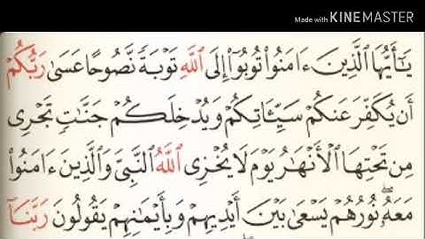 سورة التحريم من آية ( ٨ ) إلى آخرها آية ( ١٢ ) - للقارئ : عبدالباسط عبدالصمد .