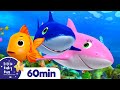 Baby Shark Song +More Nursery Rhymes and Kids Songs | Little Baby Bum