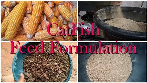 Cheap CatFish Feed {Floating Feed} - Ingredients, Quantity & Process / Catfish Feed Formulation