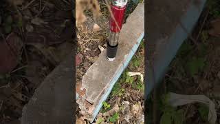 Rural Sheep And Cattle Slaughter Artifact Gun