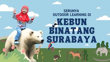 Serunya Outdoor Learning Di Kebun Binatang Surabaya! | KB-TK ANAK SHOLEH 2023