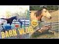 I Had A Brain Fart | BARN VLOG