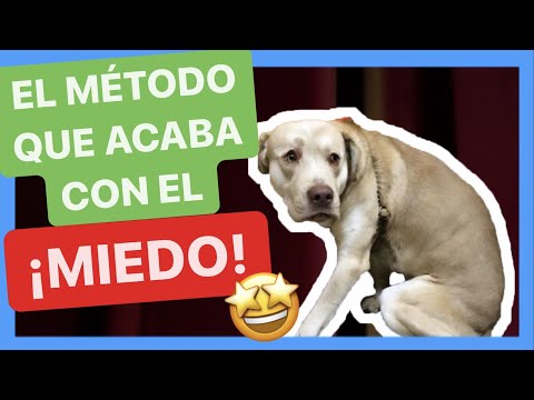 Video: ¿Por qué mi perro de repente tiene miedo del suelo resbaladizo?