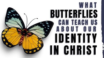 What Butterflies Can Teach Us About Our Identity In Christ