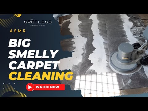 ASMR Big Smelly Carpet