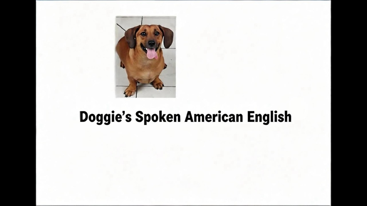 Words of the Week (13): How to pronounce words and phrases in American English (spoken English)