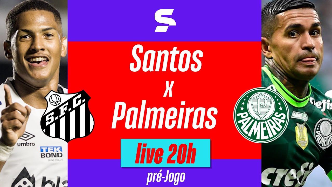 Brasileirão: como foram os últimos jogos entre Palmeiras e Santos?