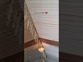 اناشيد أناشيد اناشيد اسلاميه اشتراك لايك اكسبلور Subscribe Like Explore Live 