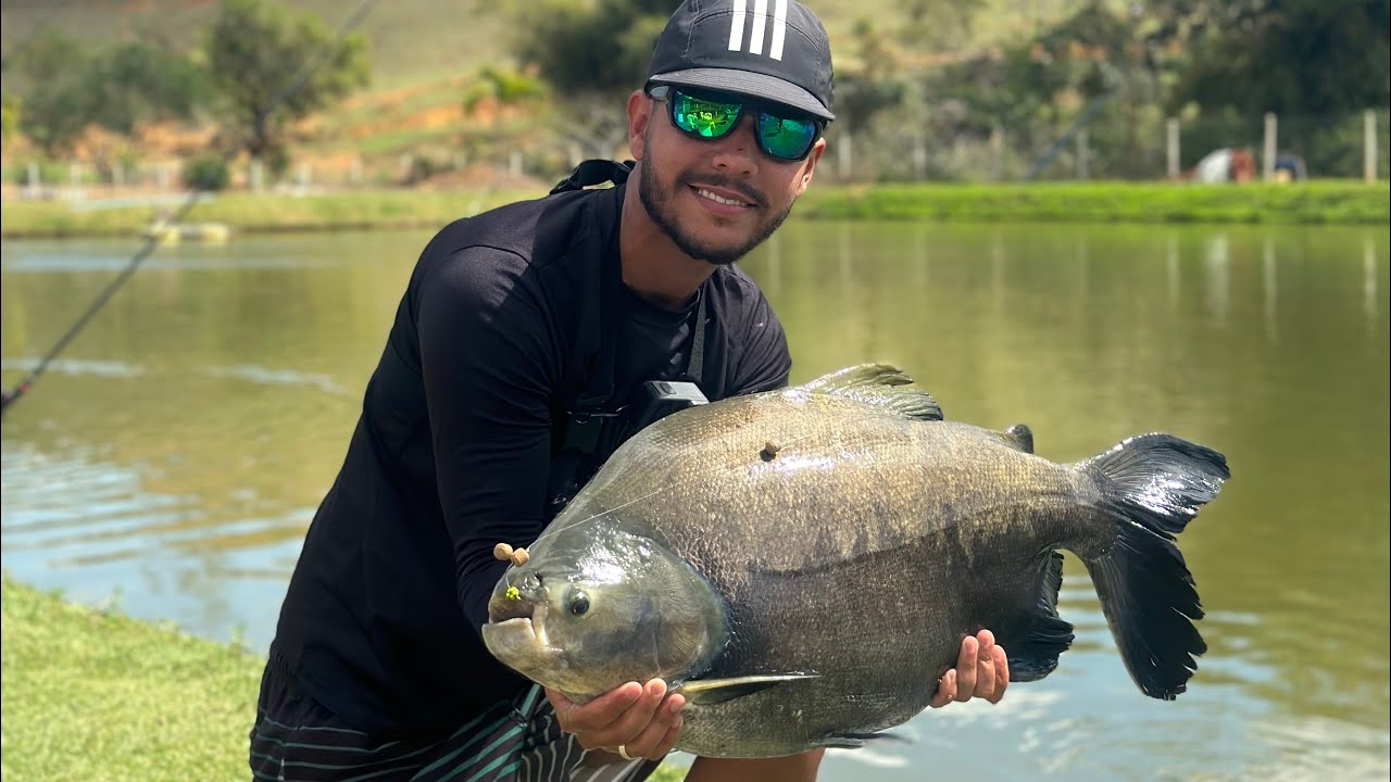 RECANTO JABUTICABA, O LAR DOS GIGANTES TAMBAS! #tambacu #explore #fishing