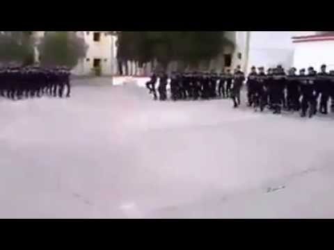 هتافات لفلسطين ولغزة في تخريج دفعة جديدة من الحماية المدنية الجزائرية