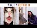 А ВОТ И КОТИК! ))) Приколы с котами | Мемозг 977