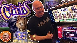 🐱MULTI-JACKPOT BLOWOUT! 🐱Cats Slot is on Fire! 🔥 screenshot 3