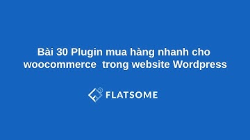 Bài 30 Plugin mua hàng nhanh cho woocommerce  trong website Wordpress