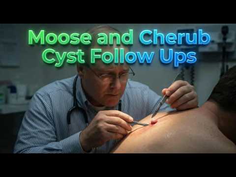 Moose and Cherub Cyst Follow Ups