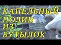 Капельный полив бутылками - всё гениально и просто! Эффективный капельный полив !