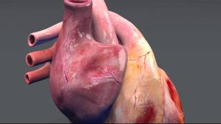 video heart unity 2