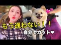 自宅で簡単に可愛くできる！犬のバリカンで全身カット！！