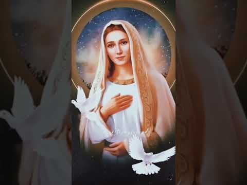 نورك قد اشرق 