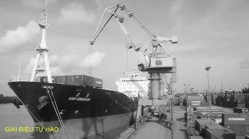 Chiều Trên Bến Cảng - Ngọc Tân