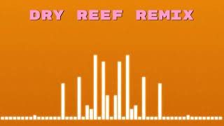 DRY REEF REMIX (Slime Rancher Cover) chords