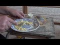 яичный корм для канареек в период выведения птенцов