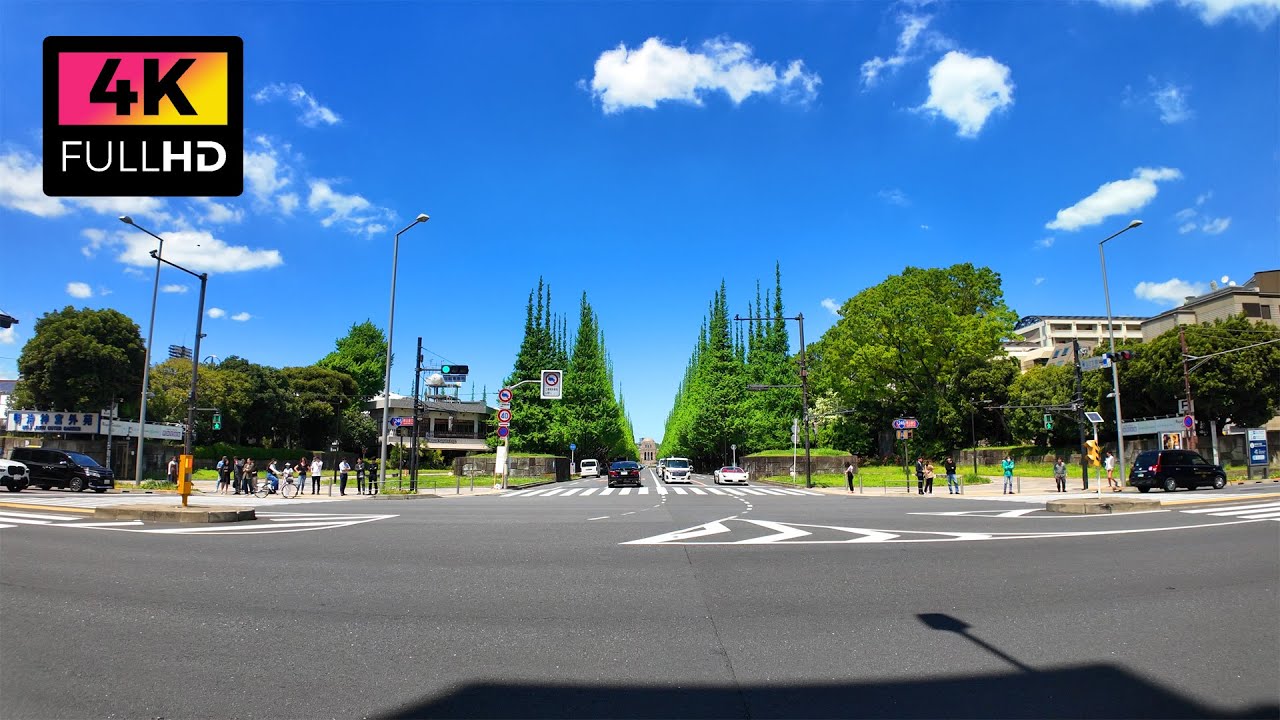 【4K】神宮外苑から表参道まで青山通りを散歩 (Apr. 2024) | Walk from Jingu Gaien to Omotesando.