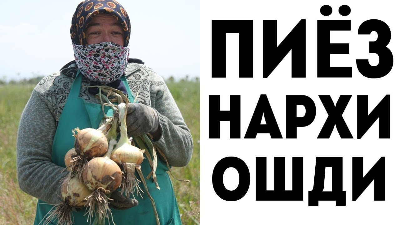 Кредит машина узбекистонда