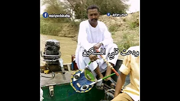 هيثم زمراوي 