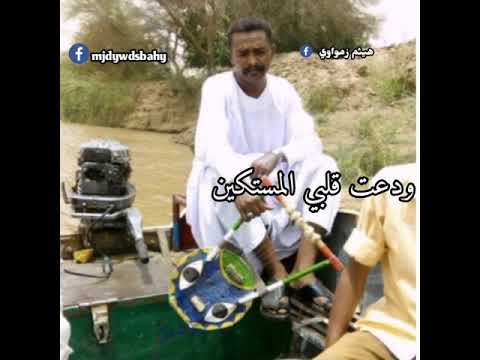 هيثم زمراوي 