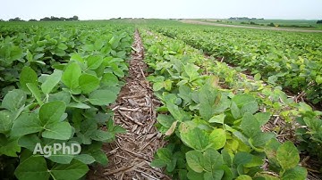 Iron Talk #993 Spray Boom Contamination (Air Date 4-16-17)