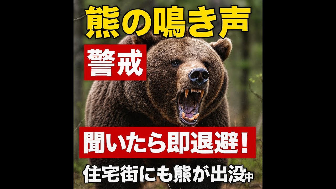 熊 の 鳴き声