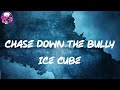 Ice Cube Chase Down The Bully Lyric Video Myspace mp3