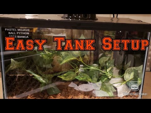 Tank Set Up For Beginners - YouTube