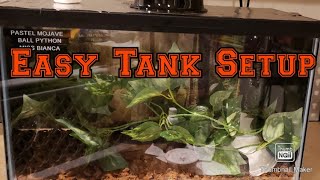 Tank Set Up For Beginners