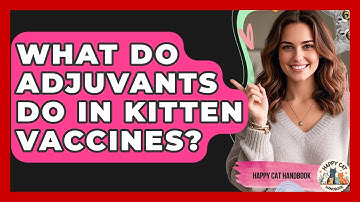 What Do Adjuvants Do In Kitten Vaccines? - Happy Cat Handbook