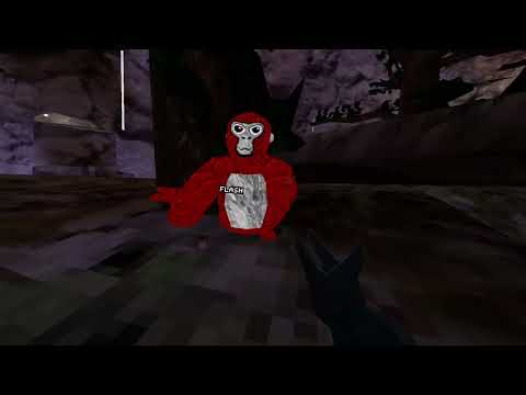 Teaching my little cousin how to play gorilla tag part 4