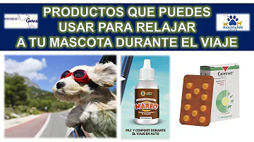 ¿Cómo sedar a mi perro con melatonina?