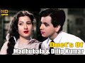 Duets Of Madhuba & Dilip Kumar Superhit Songs | Superhit Hindi Purane Gaano Ka Collection