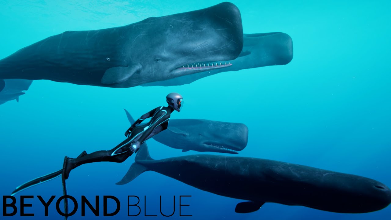 All Animals Showcase - Beyond Blue [4K 60FPS]