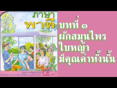 #ภาษาพาทีป.4 #บทที่3 #ผักสมุนไพรใบหญ้ามีคุณค่าทั้งนั้น