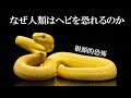 【ゆっくり解説】ヘビと霊長類の進化（ヘビ検出理論）