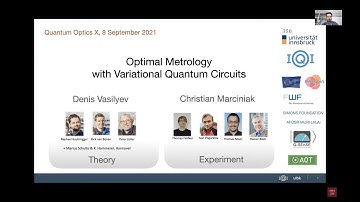 Denis Vasilyev & Christian Marciniak "Quantum Variational Optimization of Ramsey Interferometry..."