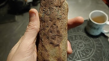 Stigmaria tree root fossil from the carboniferous period roughly 350 MYA.
