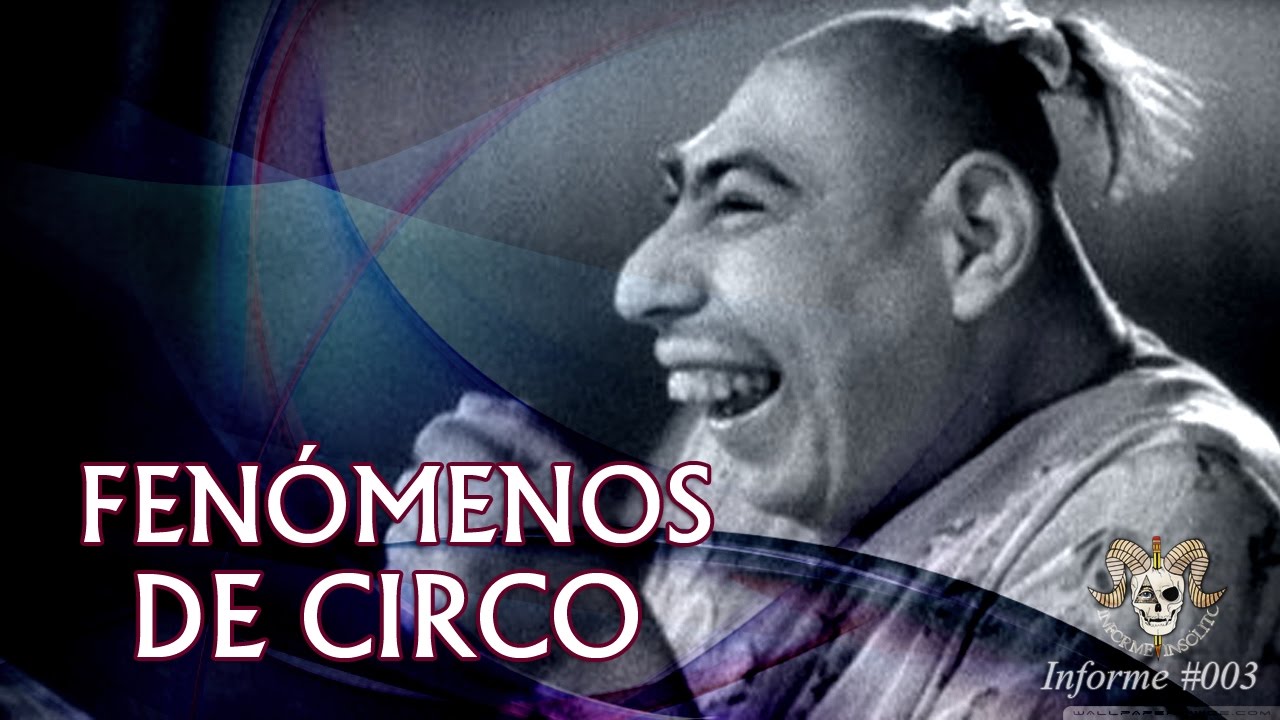 Los fenómenos de circo reales más extraños de la historia - YouTube